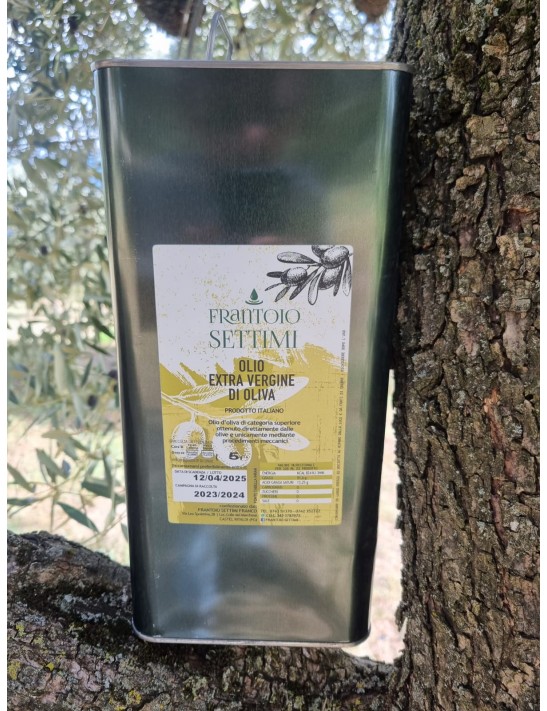 Olio Extra Vergine di Oliva EVO in lattina 5 Litri  2025/2026